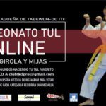 campeonato taekwondo málaga