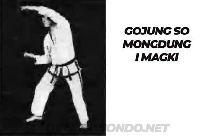 Gojung So Mongdung I Magki y aparece en Joon Gun