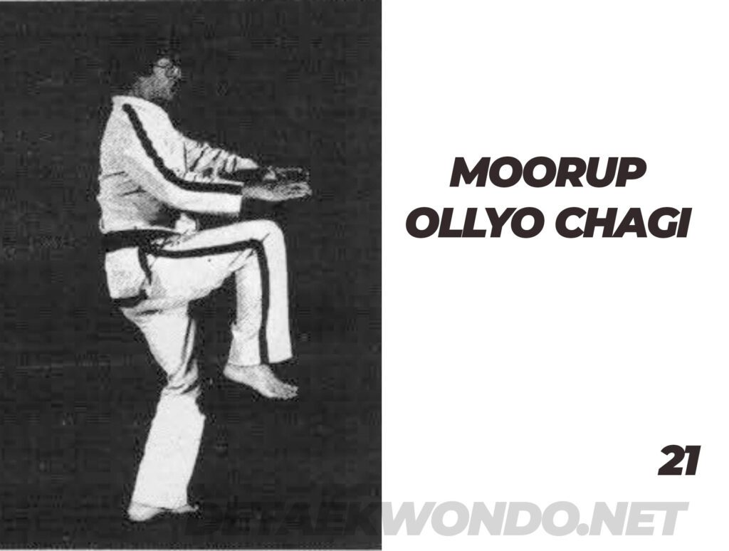Moorup Ollyo Chagi - Tul Toi Gye