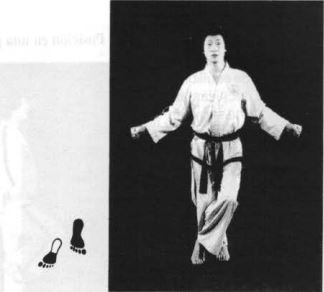 Koycha Sogui - posiciones en taekwondo